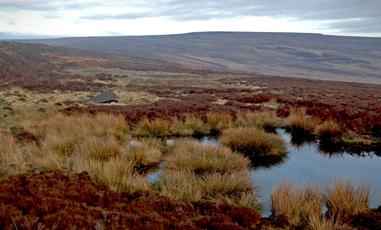 Yorkshire Moors with pond and tent