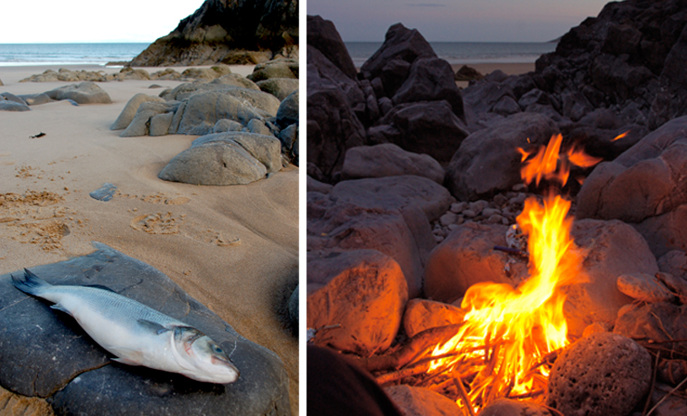 Fish and fire on beach