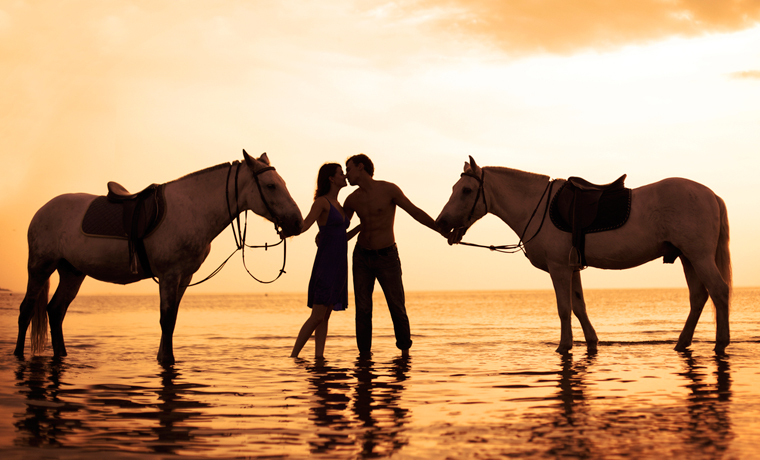 Silhouette of horses and couple on beach