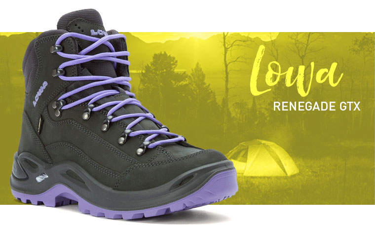 Lowa Renegade GTX hiking boot image