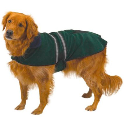 Dog coat