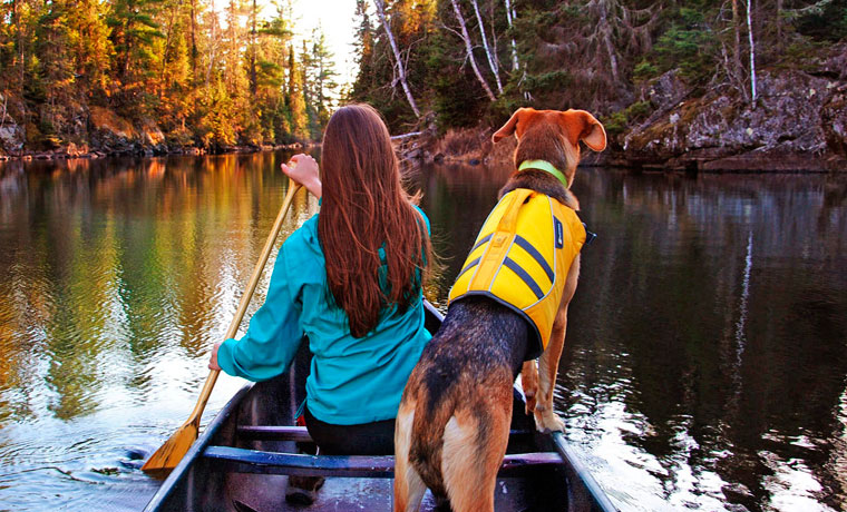 Dog in canoe wearing buoyancy aid