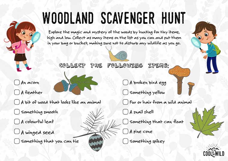 Printable scavenger hunt for woodlands