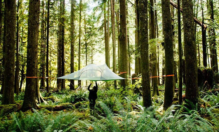 Tentsile suspended tent in woodland