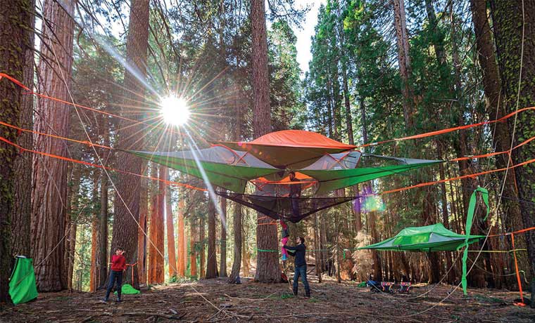 Tentsile in the forest - amazing tents