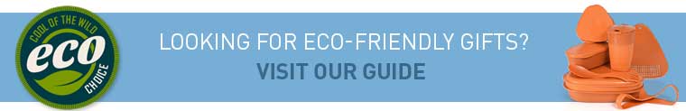 Eco friendly camping gifts guide