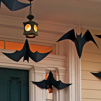 Hanging bats
