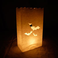 Halloween lantern bag