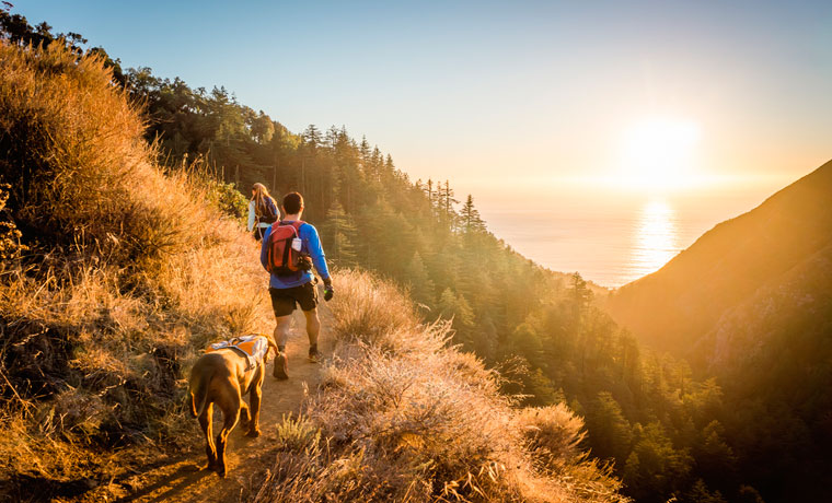 Hikers with a dog with a sea view