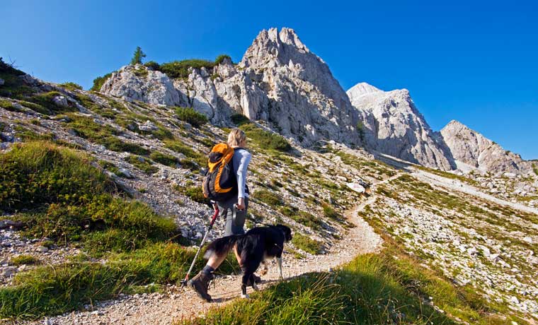 Woman hiking with a dog in the mountains