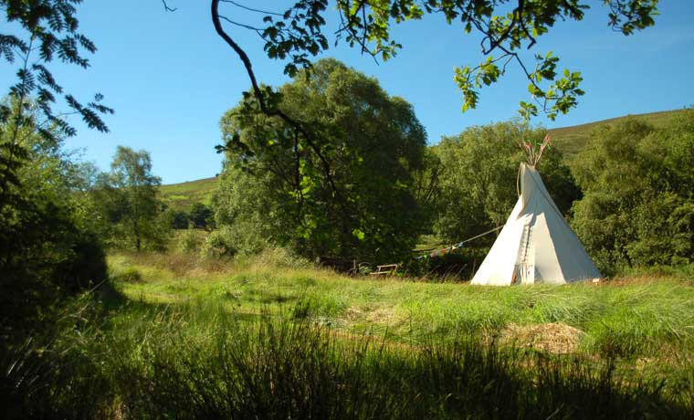 Tipi in grass