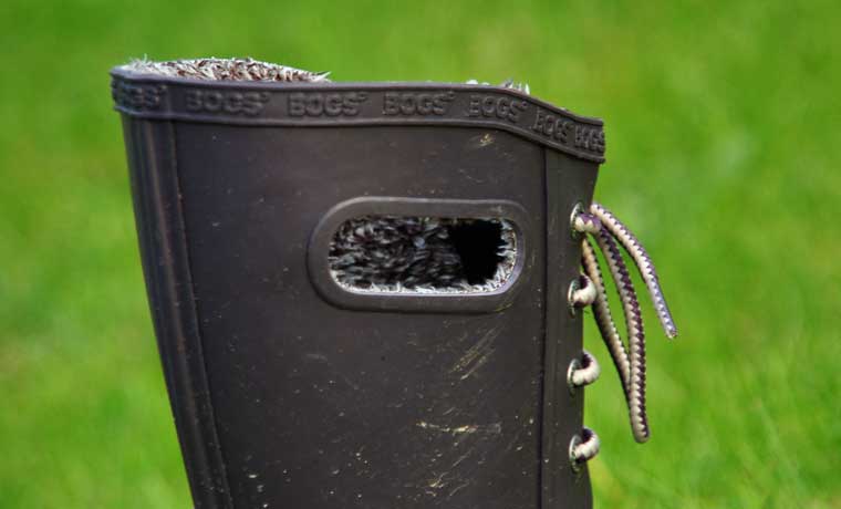Boot handles