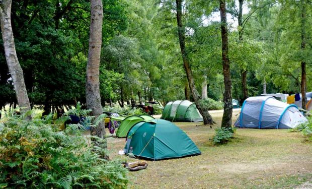Tents in forest