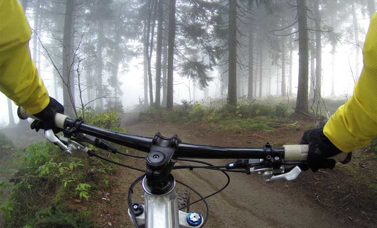 Best trail bikes 2024  26 trail mountain bikes & buyer's guide