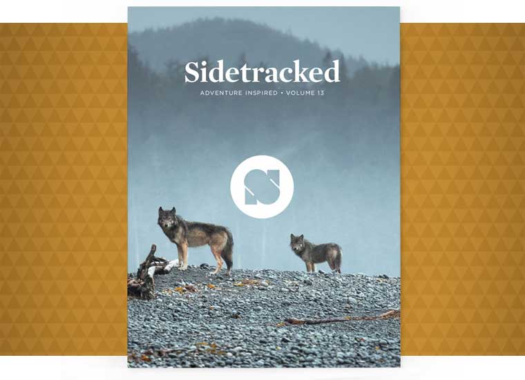 Sidetracked magazine