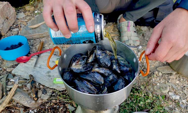 Pouring beer on mussels