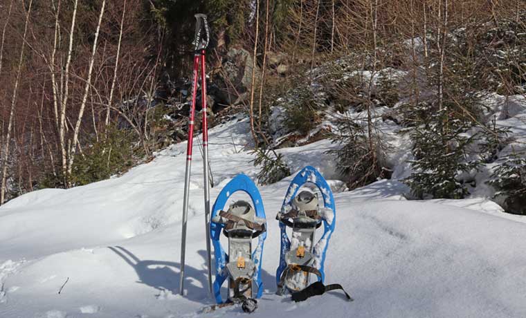 Snowshoes and poles in the snow
