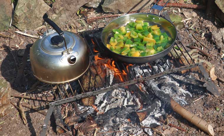 https://coolofthewild.com/wp-content/uploads/2020/10/Grill-with-food-on-over-campfire.jpg