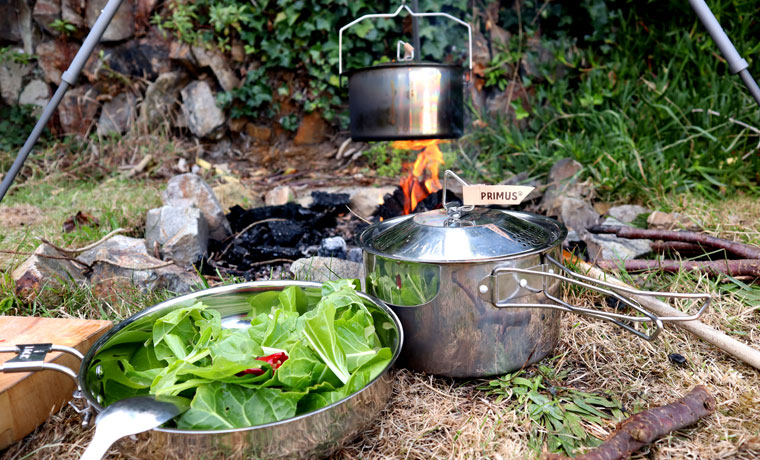 Campfire Cooking Kit Equipment You Need to Cook Over an Open Fire