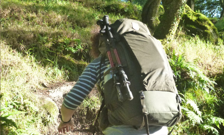 Hiking poles on backpack