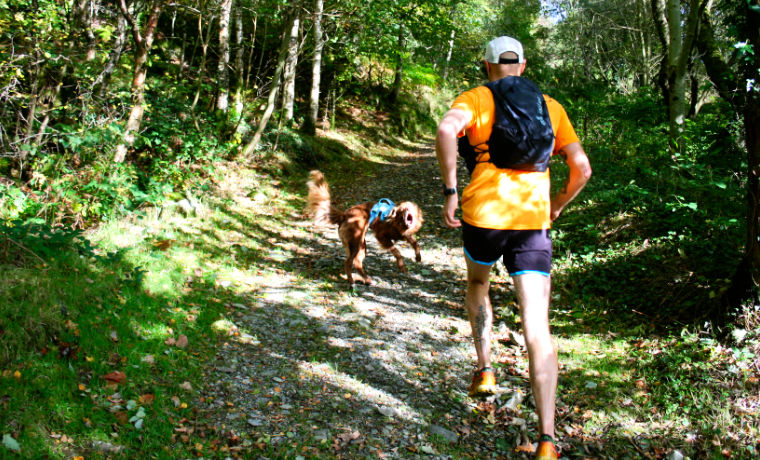 Man trail running with dog
