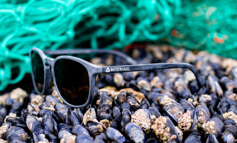Top 7 Best Sustainable Sunglasses Brands | Sustainable sunglasses,  Sunglasses branding, Sustainable eyewear
