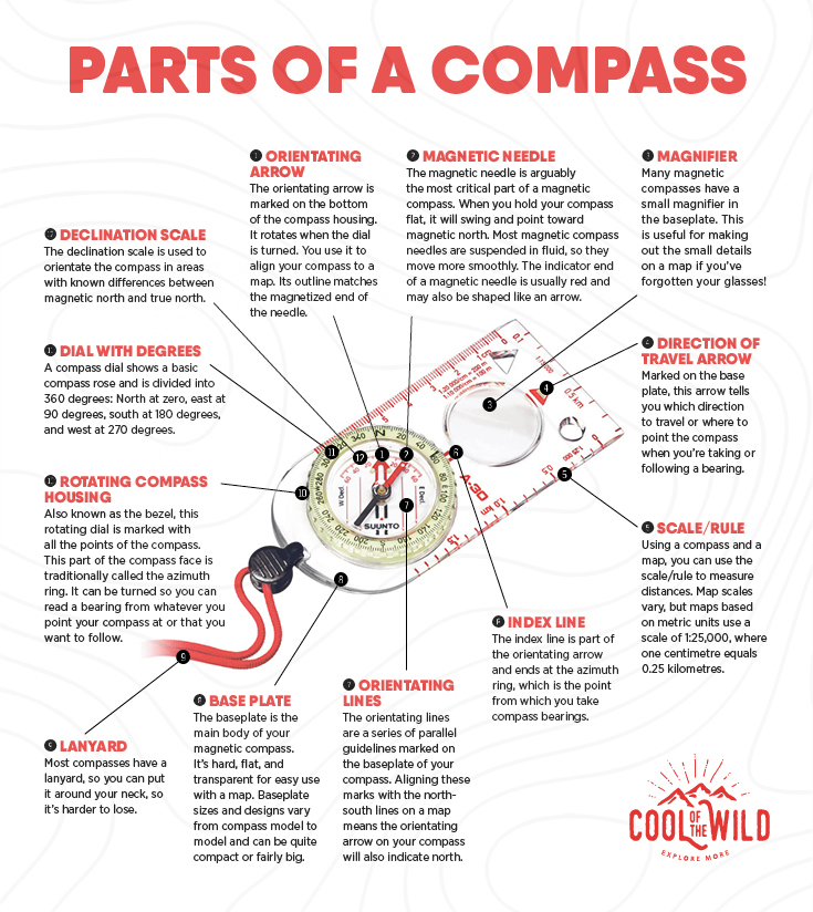 parts of a compass infographic