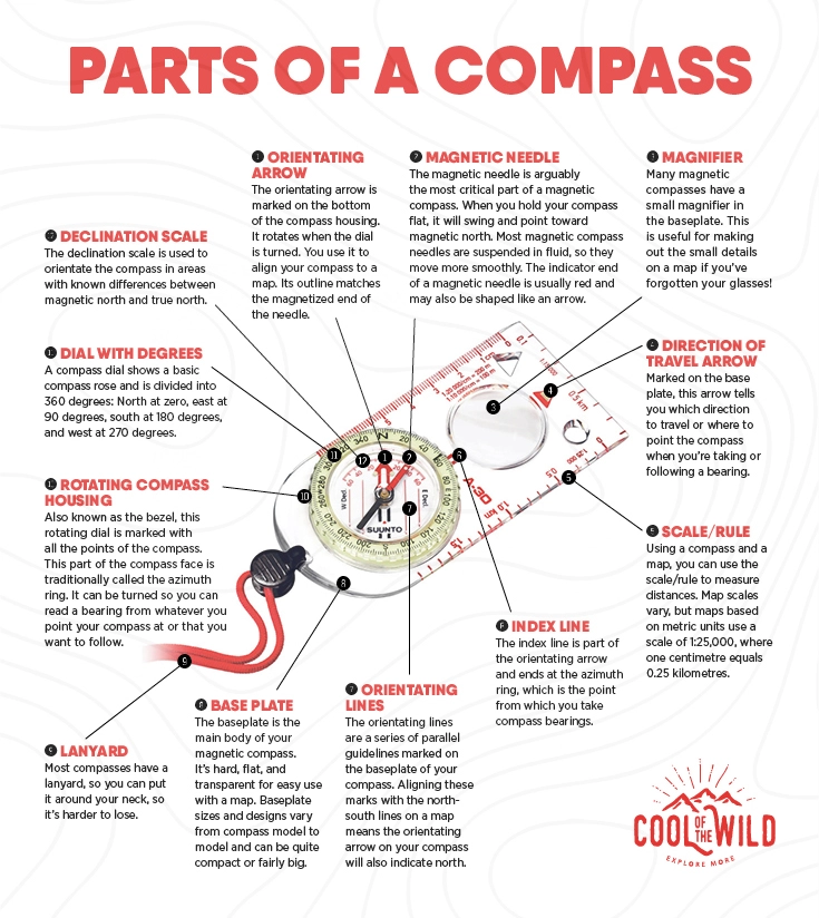 compass-infographic