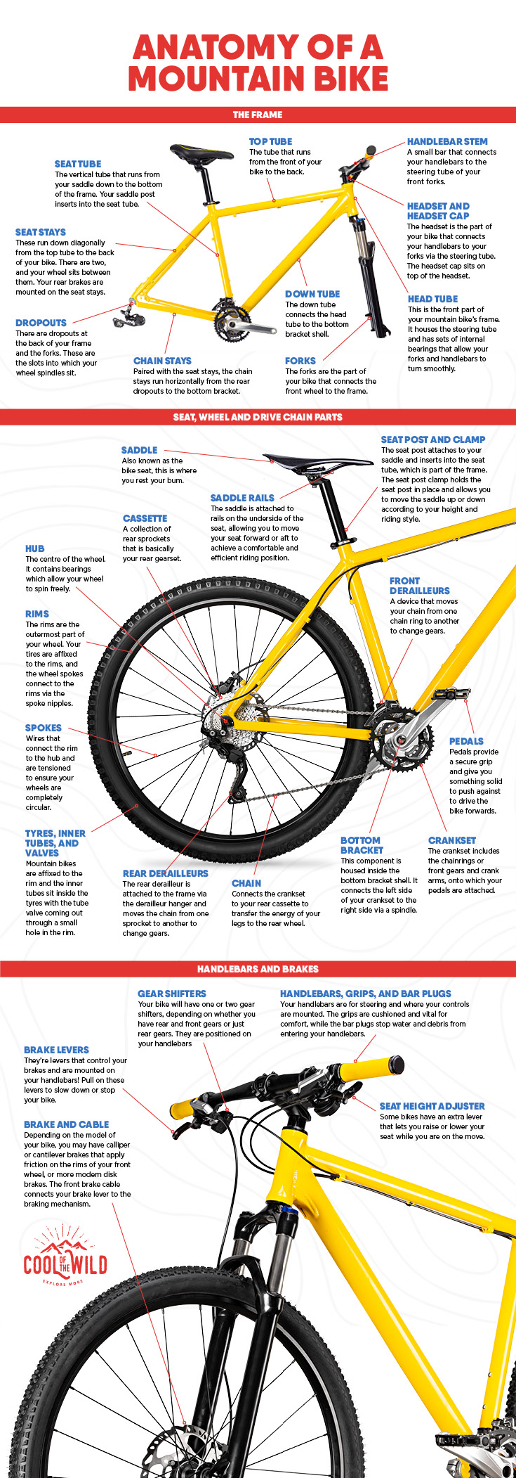 Bicycle Brake Assembly Diagram: A Visual Guide to Control!